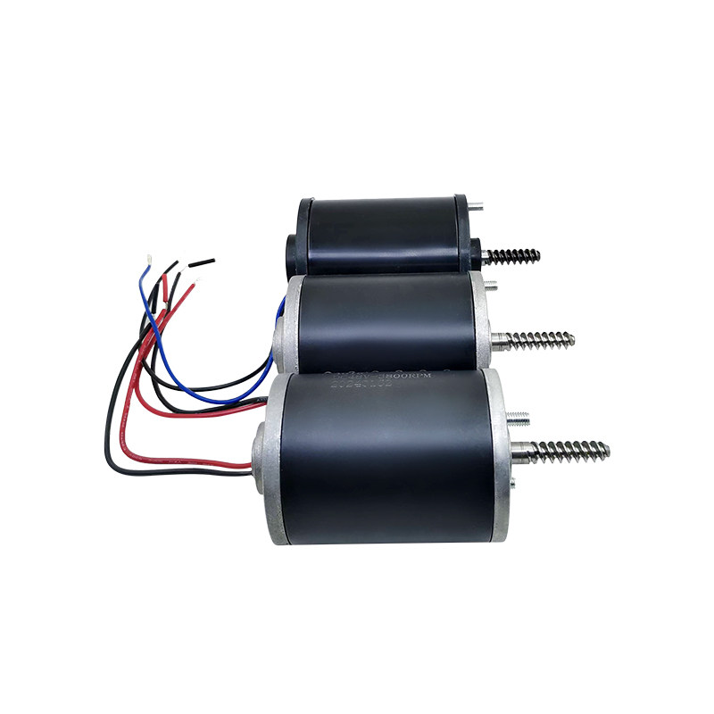 Langlebiger 24V 48V Motor für  – Crane Claw Motor Bewertung und Preis